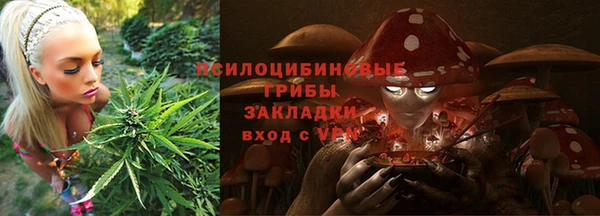 наркотики Алексин